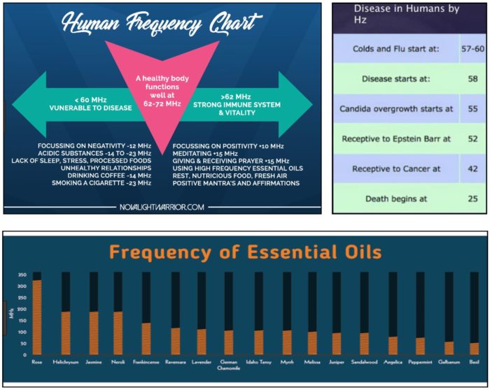 Young Living Essential Oils Frequency Chart